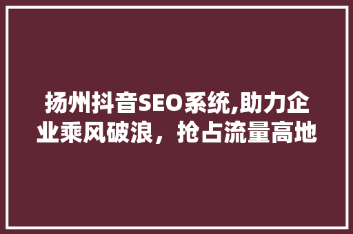 扬州抖音SEO系统,助力企业乘风破浪，抢占流量高地