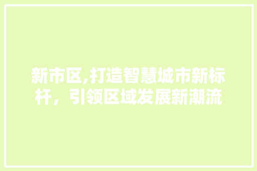 新市区,打造智慧城市新标杆，引领区域发展新潮流