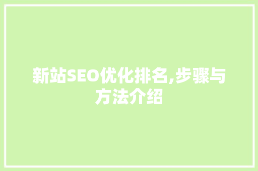 新站SEO优化排名,步骤与方法介绍
