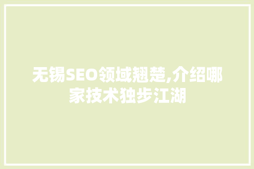 无锡SEO领域翘楚,介绍哪家技术独步江湖