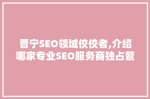 晋宁SEO领域佼佼者,介绍哪家专业SEO服务商独占鳌头