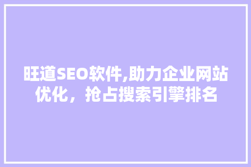 旺道SEO软件,助力企业网站优化，抢占搜索引擎排名