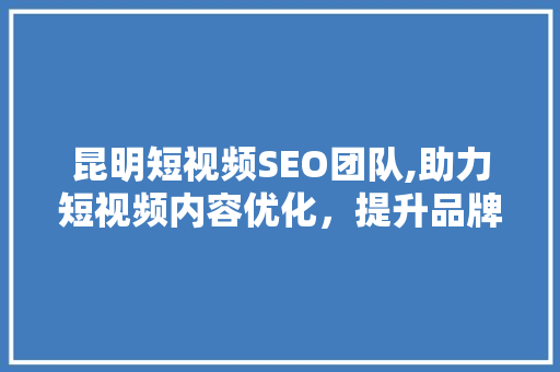 昆明短视频SEO团队,助力短视频内容优化，提升品牌影响力