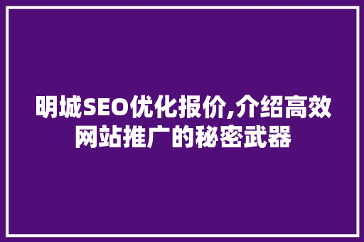 明城SEO优化报价,介绍高效网站推广的秘密武器