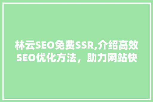 林云SEO免费SSR,介绍高效SEO优化方法，助力网站快速崛起