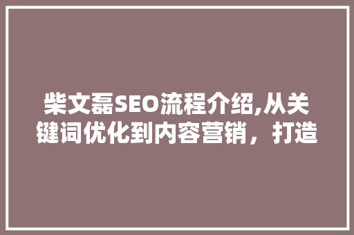 柴文磊SEO流程介绍,从关键词优化到内容营销，打造高效搜索引擎排名