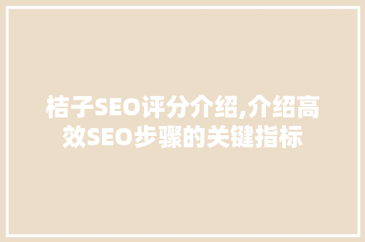 桔子SEO评分介绍,介绍高效SEO步骤的关键指标