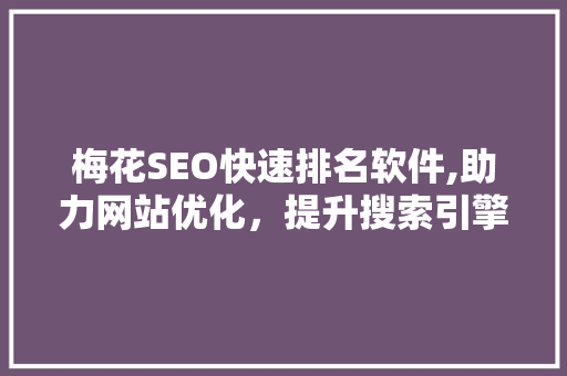 梅花SEO快速排名软件,助力网站优化，提升搜索引擎排名