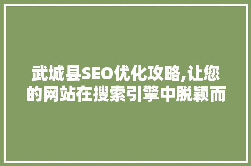 武城县SEO优化攻略,让您的网站在搜索引擎中脱颖而出