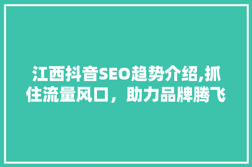 江西抖音SEO趋势介绍,抓住流量风口，助力品牌腾飞