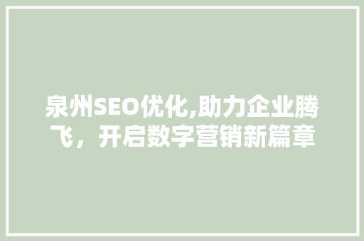 泉州SEO优化,助力企业腾飞，开启数字营销新篇章