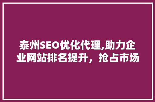 泰州SEO优化代理,助力企业网站排名提升，抢占市场先机
