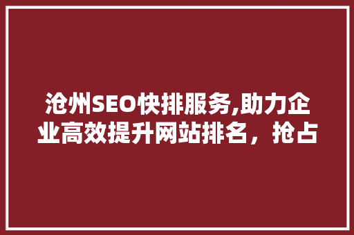 沧州SEO快排服务,助力企业高效提升网站排名，抢占市场先机