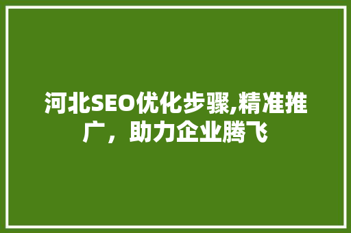 河北SEO优化步骤,精准推广，助力企业腾飞