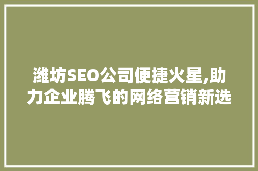 潍坊SEO公司便捷火星,助力企业腾飞的网络营销新选择