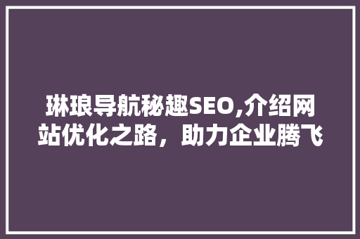 琳琅导航秘趣SEO,介绍网站优化之路，助力企业腾飞