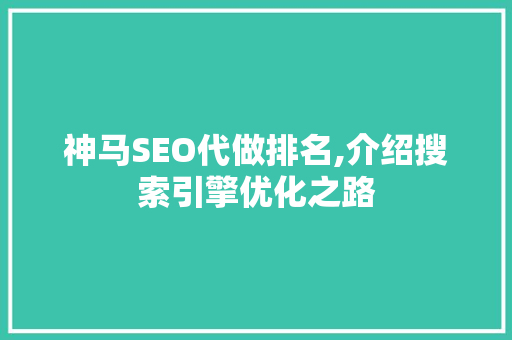 神马SEO代做排名,介绍搜索引擎优化之路