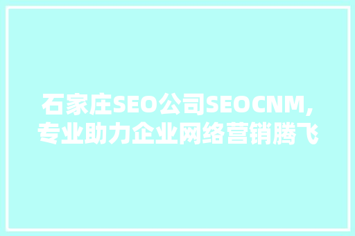 石家庄SEO公司SEOCNM,专业助力企业网络营销腾飞