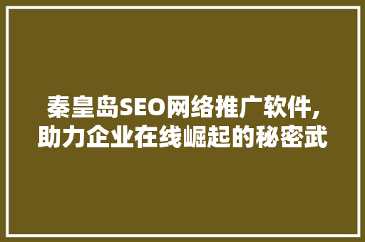秦皇岛SEO网络推广软件,助力企业在线崛起的秘密武器