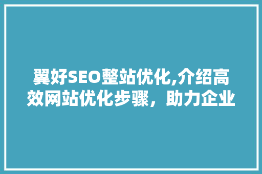 翼好SEO整站优化,介绍高效网站优化步骤，助力企业腾飞