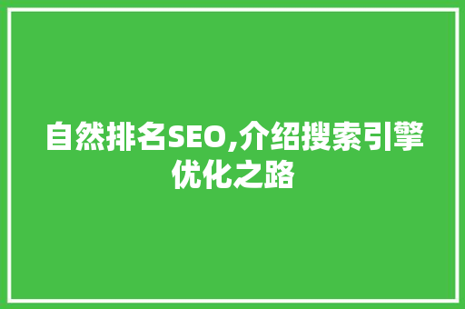 自然排名SEO,介绍搜索引擎优化之路