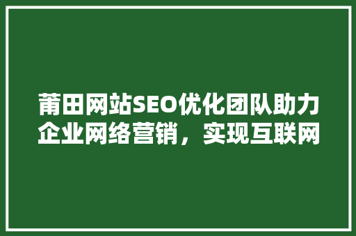 莆田网站SEO优化团队助力企业网络营销，实现互联网时代弯道超车