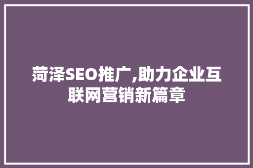 菏泽SEO推广,助力企业互联网营销新篇章
