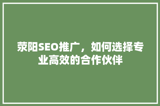 荥阳SEO推广，如何选择专业高效的合作伙伴