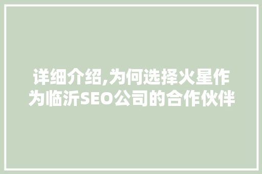 详细介绍,为何选择火星作为临沂SEO公司的合作伙伴