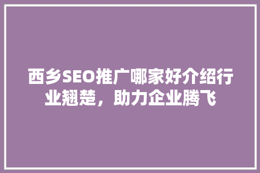 西乡SEO推广哪家好介绍行业翘楚，助力企业腾飞