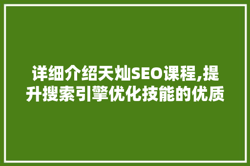 详细介绍天灿SEO课程,提升搜索引擎优化技能的优质选择