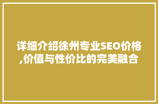 详细介绍徐州专业SEO价格,价值与性价比的完美融合