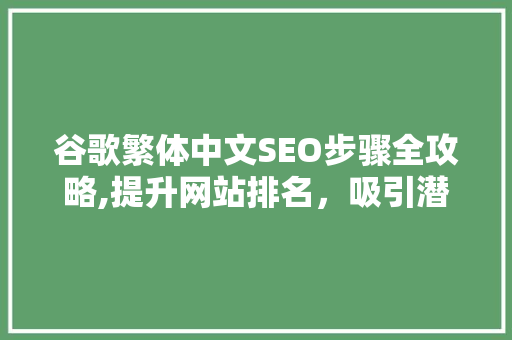 谷歌繁体中文SEO步骤全攻略,提升网站排名，吸引潜在客户