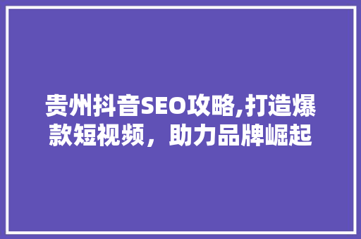 贵州抖音SEO攻略,打造爆款短视频，助力品牌崛起