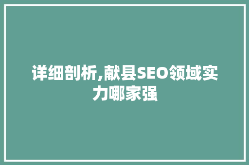 详细剖析,献县SEO领域实力哪家强