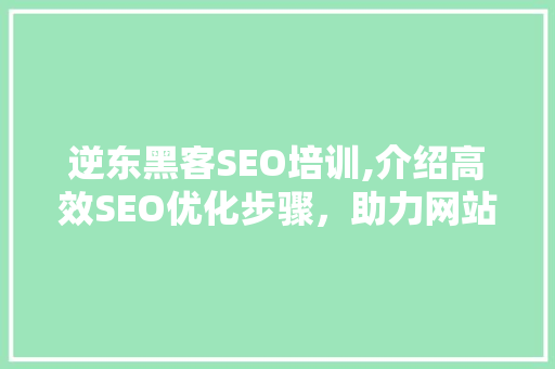 逆东黑客SEO培训,介绍高效SEO优化步骤，助力网站排名飙升