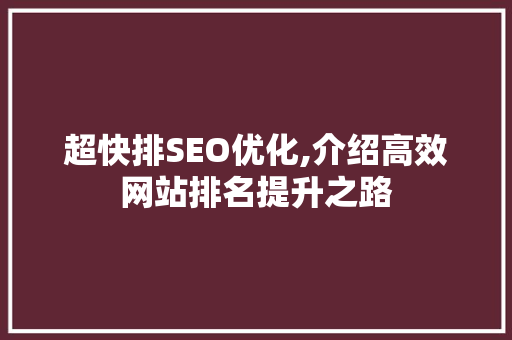 超快排SEO优化,介绍高效网站排名提升之路