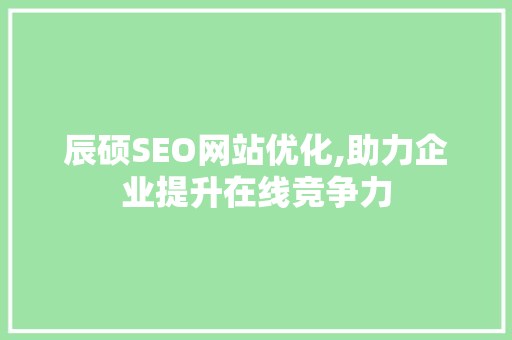 辰硕SEO网站优化,助力企业提升在线竞争力