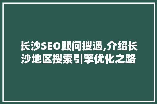 长沙SEO顾问搜遇,介绍长沙地区搜索引擎优化之路