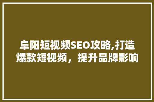 阜阳短视频SEO攻略,打造爆款短视频，提升品牌影响力