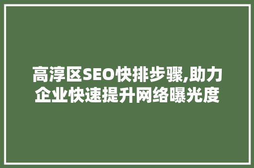 高淳区SEO快排步骤,助力企业快速提升网络曝光度