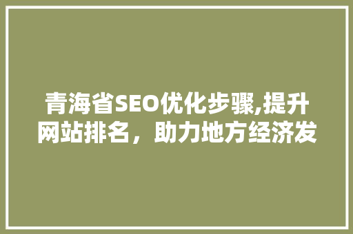 青海省SEO优化步骤,提升网站排名，助力地方经济发展