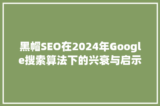黑帽SEO在2024年Google搜索算法下的兴衰与启示