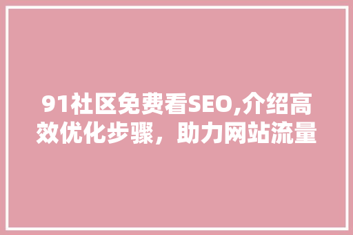 91社区免费看SEO,介绍高效优化步骤，助力网站流量飙升