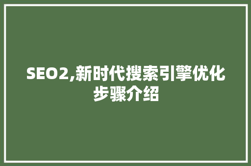 SEO2,新时代搜索引擎优化步骤介绍
