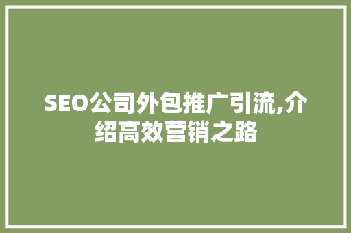 SEO公司外包推广引流,介绍高效营销之路