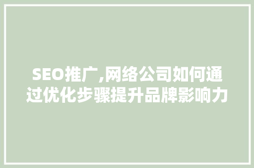 SEO推广,网络公司如何通过优化步骤提升品牌影响力