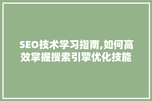 SEO技术学习指南,如何高效掌握搜索引擎优化技能