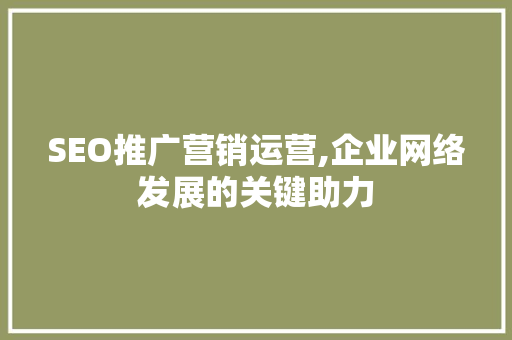 SEO推广营销运营,企业网络发展的关键助力