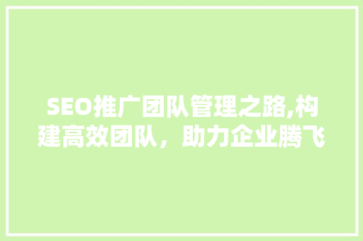 SEO推广团队管理之路,构建高效团队，助力企业腾飞